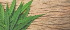 What Are The Effects Of A Marijuana (Cannabis) Addiction In Teens?