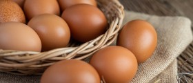 Could You Be Allergic To Eggs? What You Need To Know About The Symptoms, Diagnosis And Treatment Of Egg Allergy