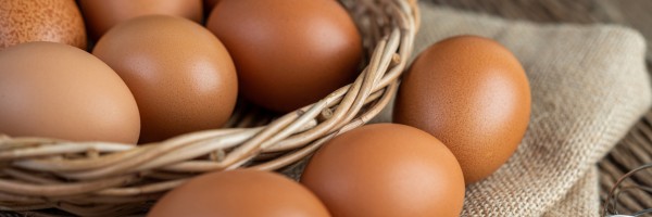 Could You Be Allergic To Eggs? What You Need To Know About The Symptoms, Diagnosis And Treatment Of Egg Allergy