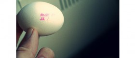 Food Past Its Sell-By Date? Don't Be Too Quick To Throw It Out