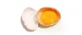 Food on Your Face: Homemade Cosmetics