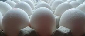 Employers Paying For Female Employees To Have Their Eggs Frozen?
