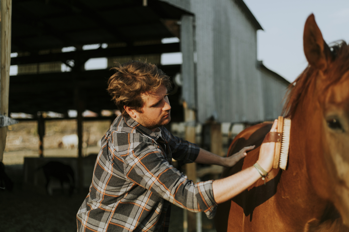 Equine Therapy Can Horses Help You Addiction? Addiction