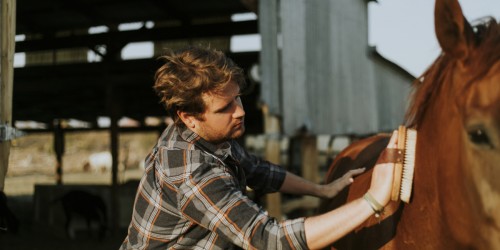Equine Therapy: Can Horses Help You Overcome Addiction?