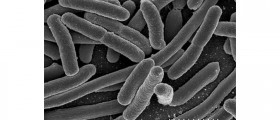 The Truth About the European E. coli Outbreak