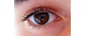 Natural Eye Health Supplements: Do they Work?