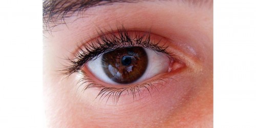 Natural Eye Health Supplements: Do they Work?