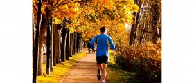 Why Your Exercise Routine Isn't Working Out for You