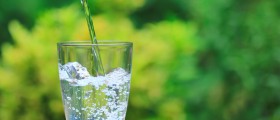 Fasting: Pros and Cons