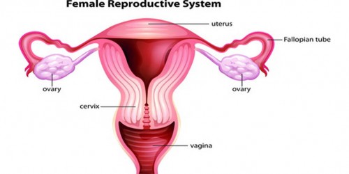 Tubal ligation side effects