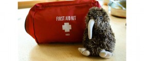Parents & Babysitters: First Aid Guide for Children