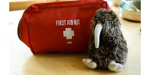 Parents & Babysitters:  First Aid Guide for Children