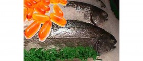 Fish Oils in Health and Disease