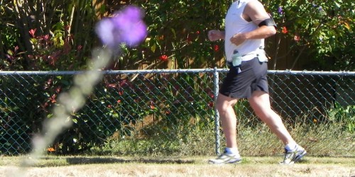 Lose Weight and Stay Fit on the Go: Best Fitness and Weight Loss Mobile Apps