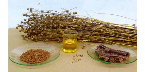 How To Use The Budwig Diet To Support Remission From Cancer