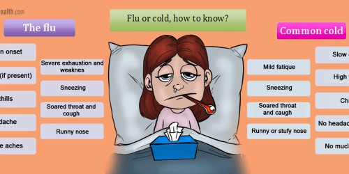 I Think I've Got The Flu! Or Just A Cold, I'm Not Sure