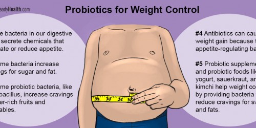 Food Cravings May Originate In Your Belly, Not Your Brain