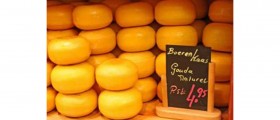 One More Reason to Eat Cheese: Probiotic Bacteria Helps Tackle Aging and Boosts Immune System