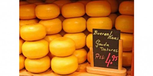 One More Reason to Eat Cheese: Probiotic Bacteria Helps Tackle Aging and Boosts Immune System