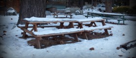 Boosting Your Immune System Naturally This Winter