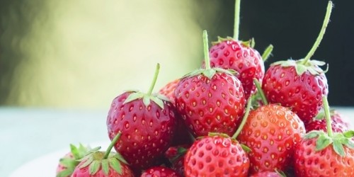 Fruit Allergy Overview: Causes, Symptoms, Treatments and More