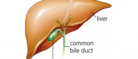 Convalescence and recovery after gallbladder surgery
