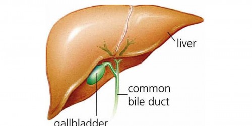 Convalescence and recovery after gallbladder surgery