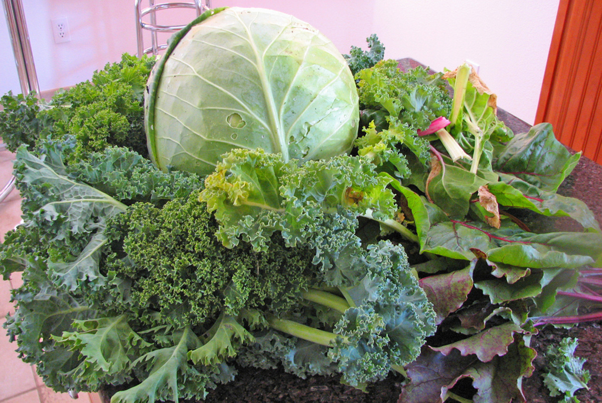 Don't Skip Your Green Vegetables! | Nutrition & Dieting articles | Well