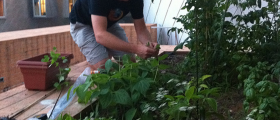 Gardening Keeps Your Body Toned, Improves Your Mood, and Reduces Stress