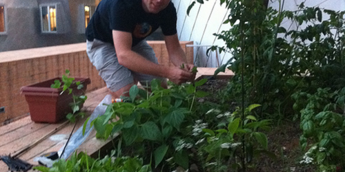 Gardening Keeps Your Body Toned, Improves Your Mood, and Reduces Stress