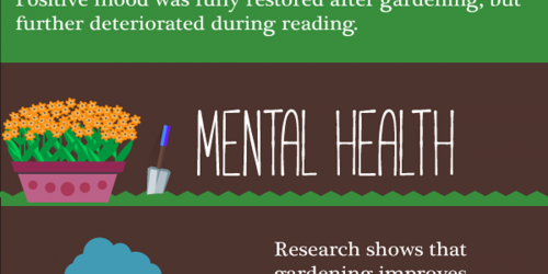 Why Gardening Is Great For Your Physical And Mental Health