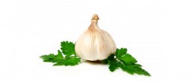 Phytoestrogens and Their Effects on Immune Function