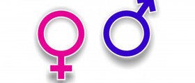 Female vs. Male Brain - Is There A Difference?