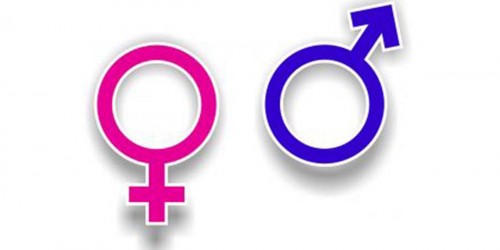 Female vs. Male Brain - Is There A Difference?