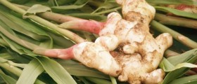 Natural Remedies for Arthritis