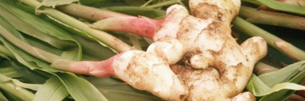 Natural Remedies for Arthritis