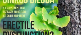 Ginkgo Biloba is a Supplement that Increases Blood Flow, but can it Help Treat Erectile Dysfunction?