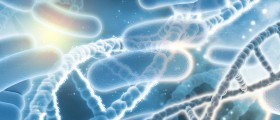 We Can't Live Without Them: The Wonder Of The Good Bacteria The Human Body Depends On