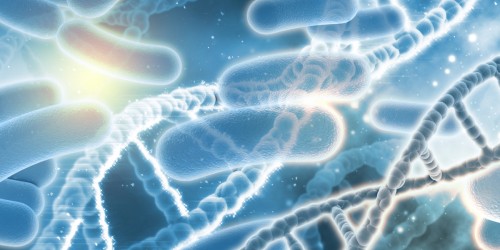 We Can't Live Without Them: The Wonder Of The Good Bacteria The Human Body Depends On