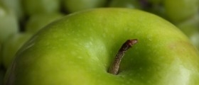 An Apple A Day May Not Keep The Doctor Away, But You Will Spend Less At The Pharmacy
