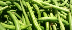 Beans, Greens, And Other Super Foods For The Brain