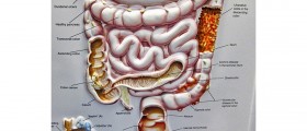 Who should have colonoscopy exam?