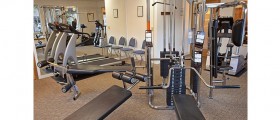 5 Reasons You Don't Need A Gym To Get In Shape?