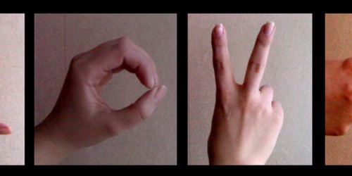 What Does It Take To Successfully Learn A New Language In Adulthood?