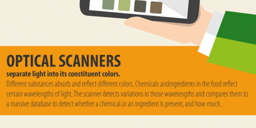 Handheld Scanner Will Ensure Food Quality, Freshness, And Safety