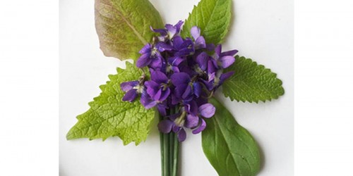 Foods That Improve Your Brain Function