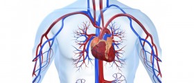 Chelation Therapy for Heart Disease