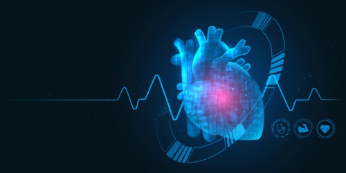 What’s The Difference Between Heart Attack And Heart Failure?