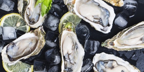 Hepatitis A Overview: Symptoms, Diagnosis, And Treatment