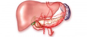 Autoimmune hepatitis: Medical treatment & Alternatives